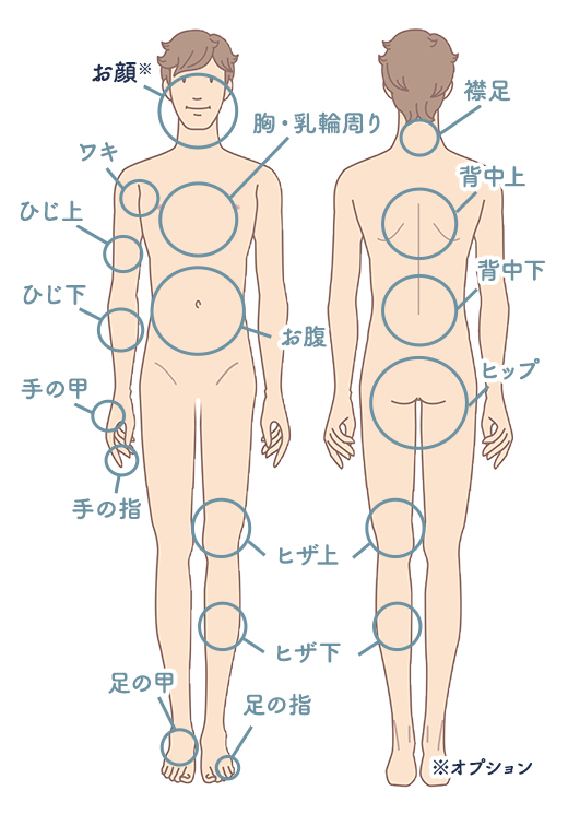 男性ボディイラスト