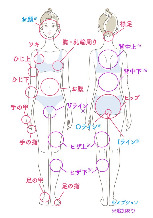 女性ボディパーツ