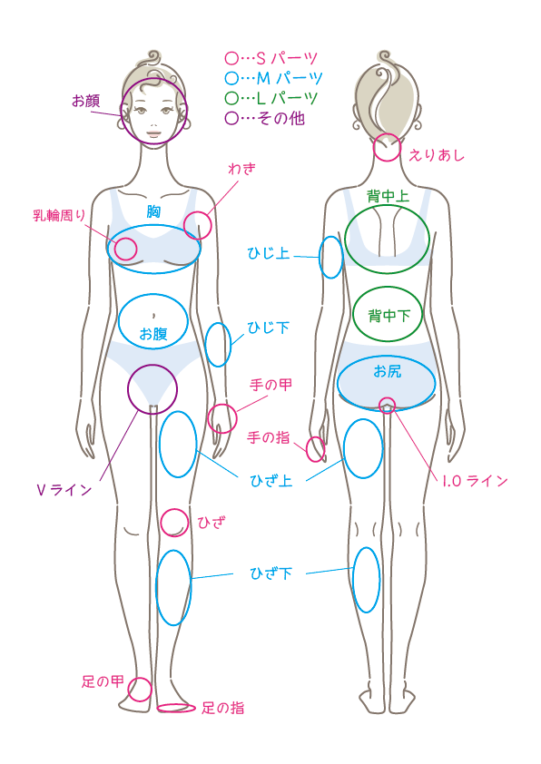 女性脱毛パーツ図
