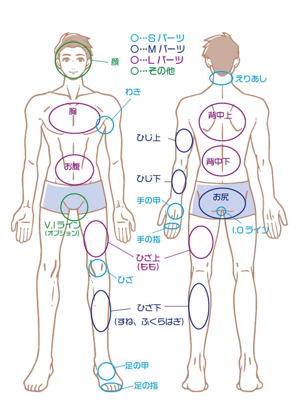 男性脱毛パーツ図